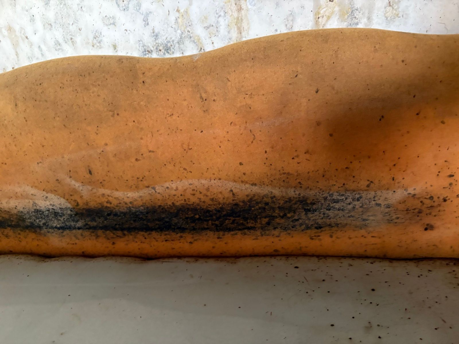 012: Štěnice na čalounění