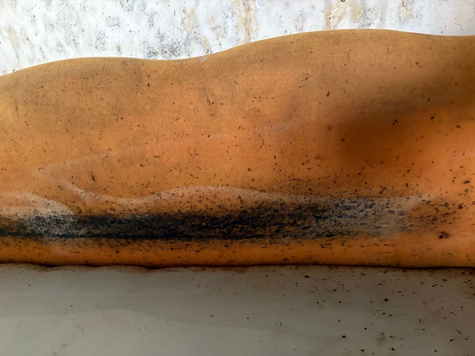 012: černé tečky (trus štěnic) na nábytku