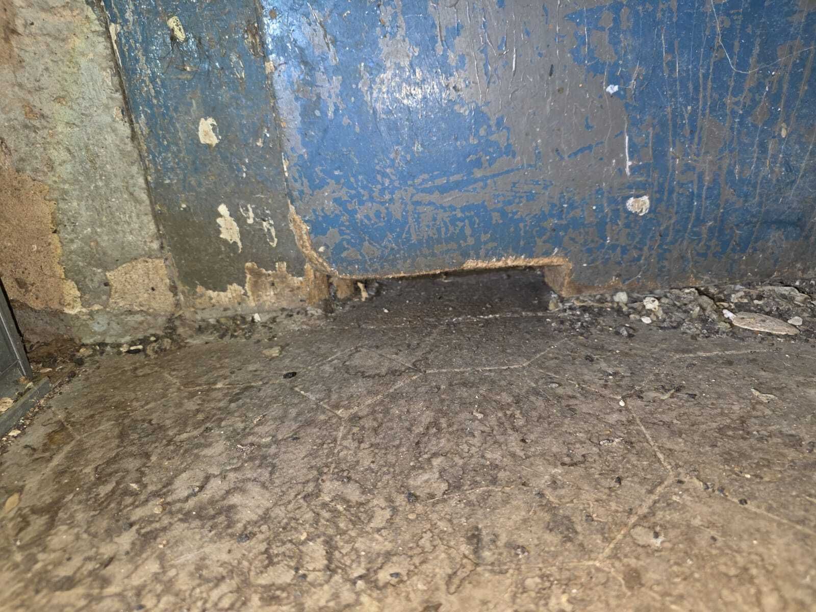 021:
Výskyt potkanů