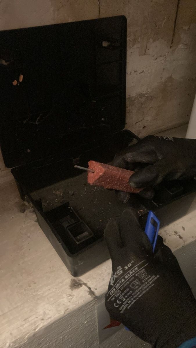 024:
Nasazení deratizačních stanic proti potkanům