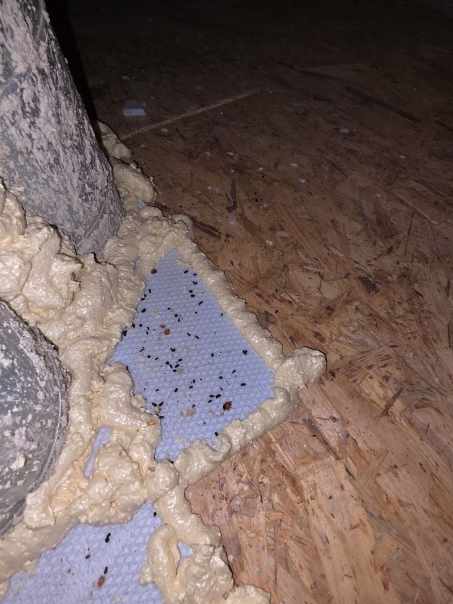 004: Bobky od myší